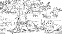 A coloring page of nature in africa